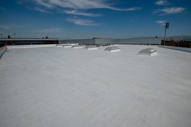 Best Storm Damage Roof Repair  in Middleburg, FL