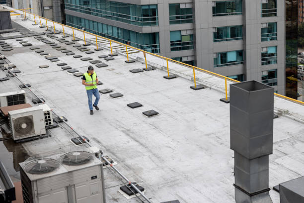 Best Roof Maintenance and Cleaning  in Middleburg, FL