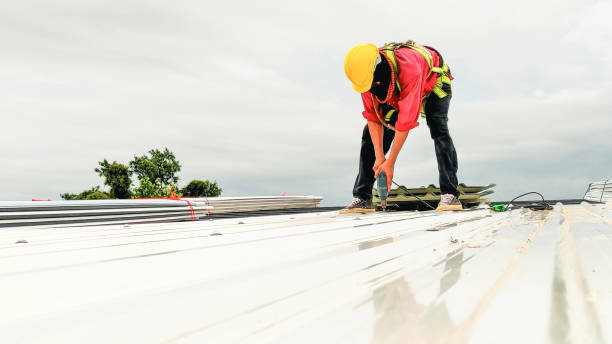 Best Roof Ventilation Installation  in Middleburg, FL