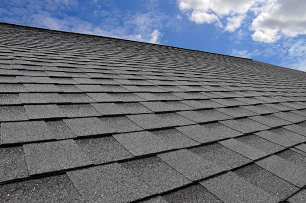 Best Hot Roofs  in Middleburg, FL
