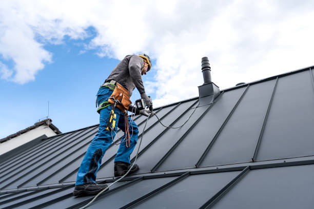Best Green or Eco-Friendly Roofing Solutions  in Middleburg, FL