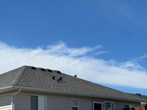 Best Slate Roofing  in Middleburg, FL